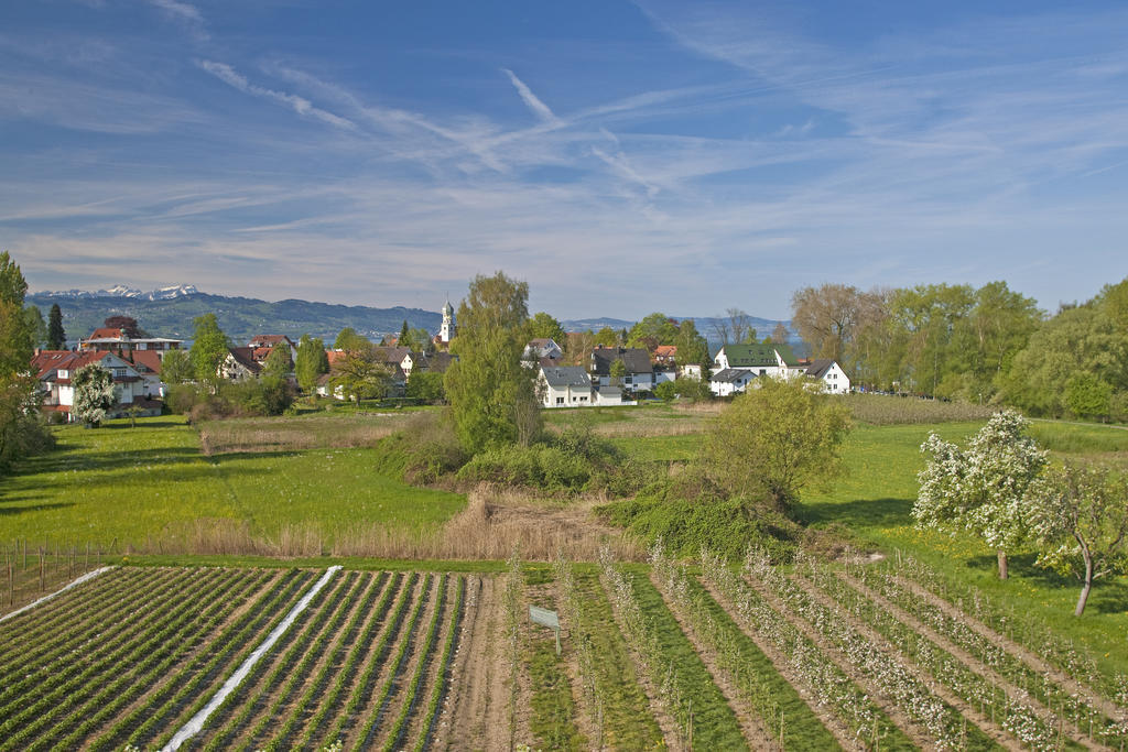 Hotel-Restaurant Walserhof Васербург Екстериор снимка